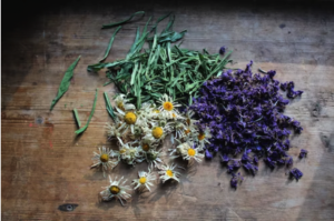 herbs on table
